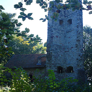 Ruine Boyneburg