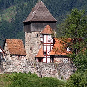 Burg Fürstenstein