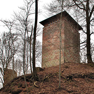 Ruine Frankenberg