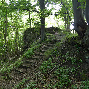 Ruine Ziegenberg