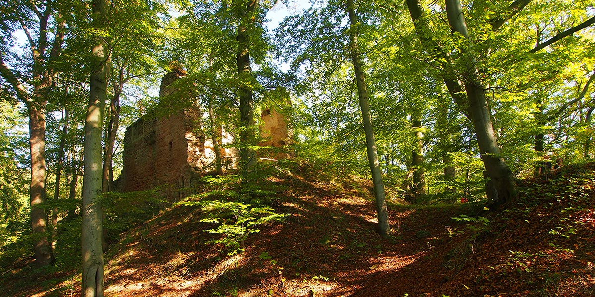 Burgruine Altenstein bei Asbach-Sickenberg (Foto: Andreas Kuhrt)