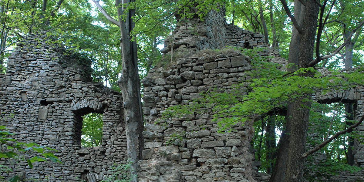 Burgruine Brandenfels bei Nesselröden (Foto: Manuela Hahnebach)