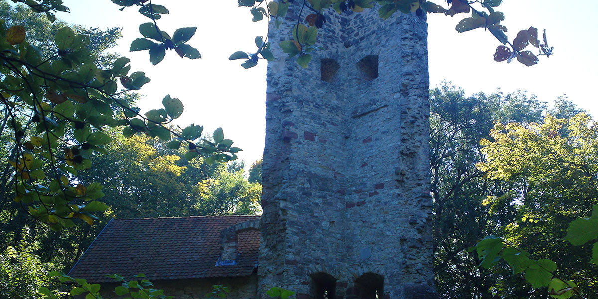 Ruine Boyneburg bei Datterode (Foto: Ringgauspeed . Creative Commons)