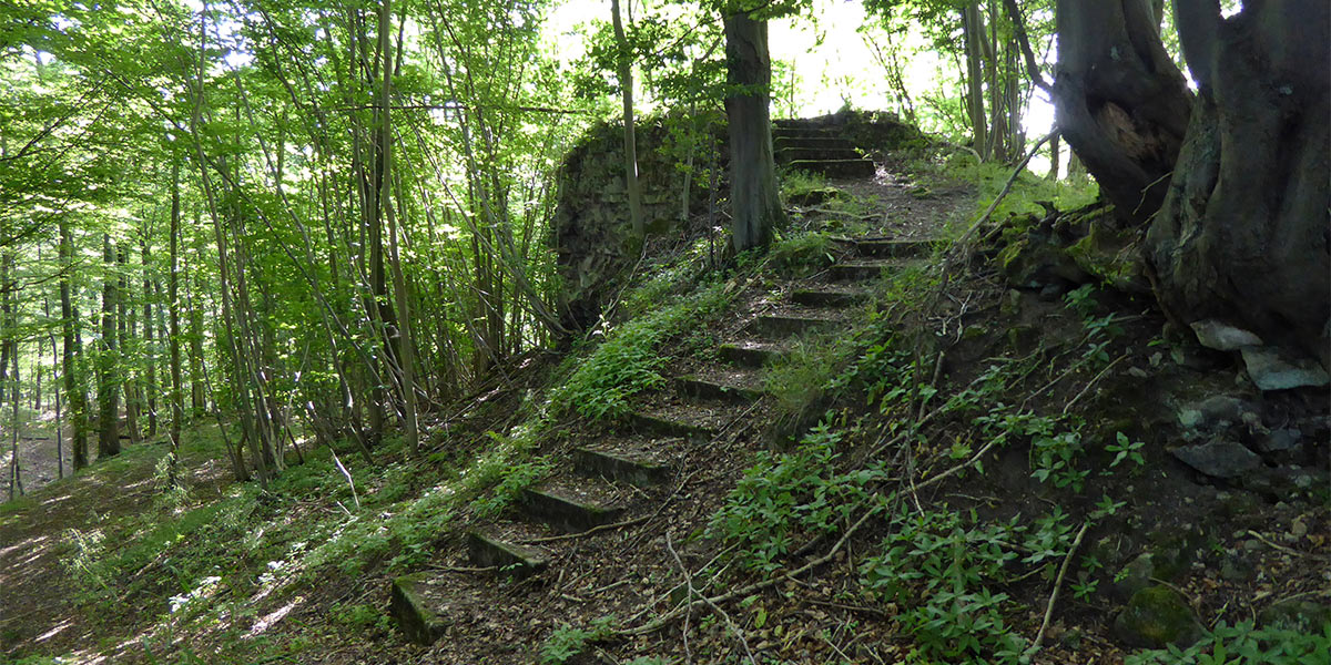 Burgruine Ziegenberg bei Ziegenhagen (Foto: Dehio . Creative Commons)