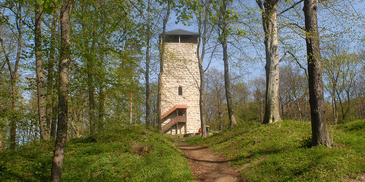 Ruine Osterburg bei Henfstädt (Foto: Manuela Hahnebach)